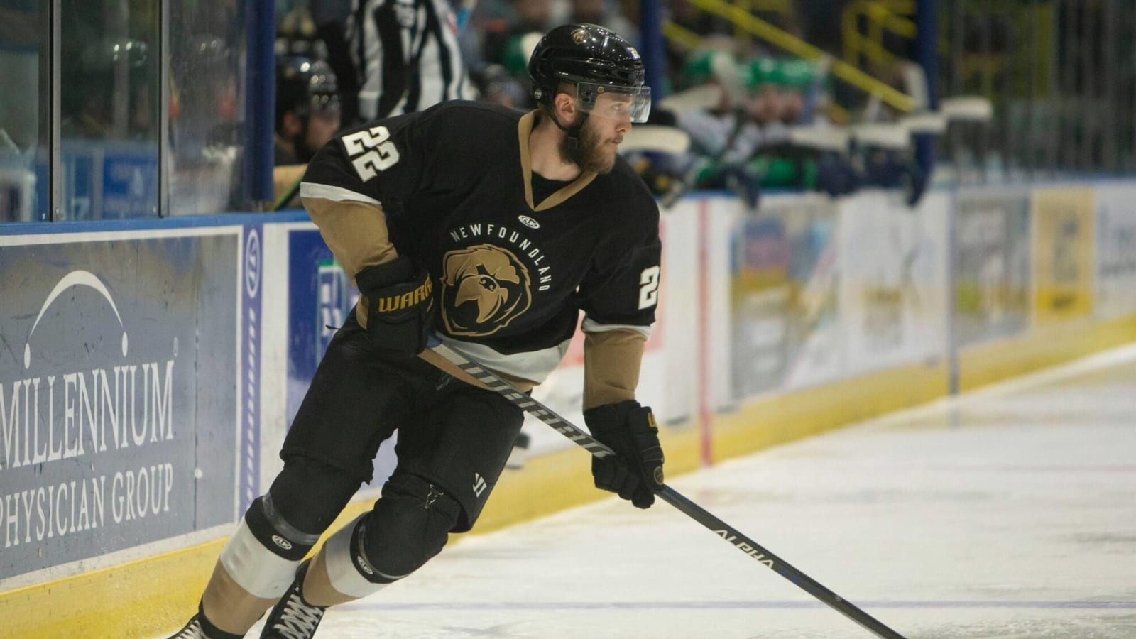 Maple Leafs’ ECHL affiliate Newfoundland Growlers ceasing operation