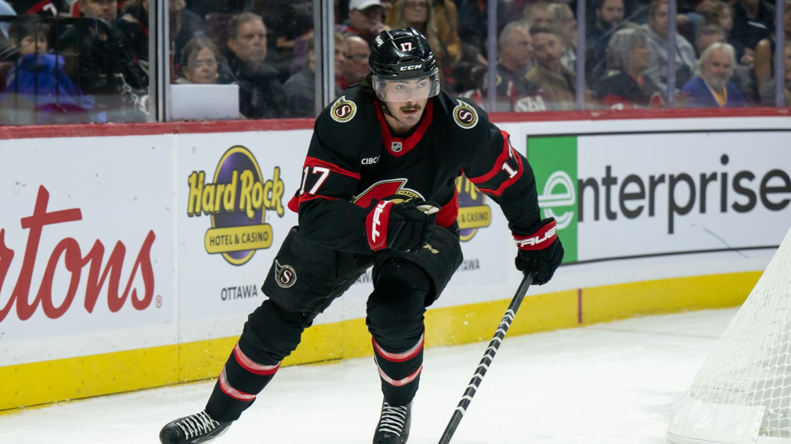 Ottawa Senators Recall Two Forwards