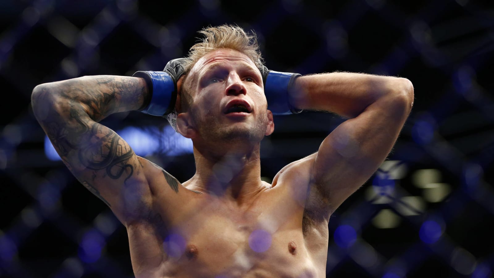The case for a T.J. Dillashaw-Sean O’Malley UFC matchup