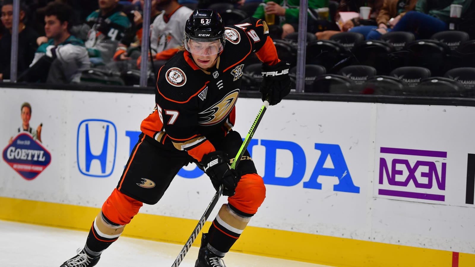 Ducks Top 10 Prospects for the 2024-25 Season