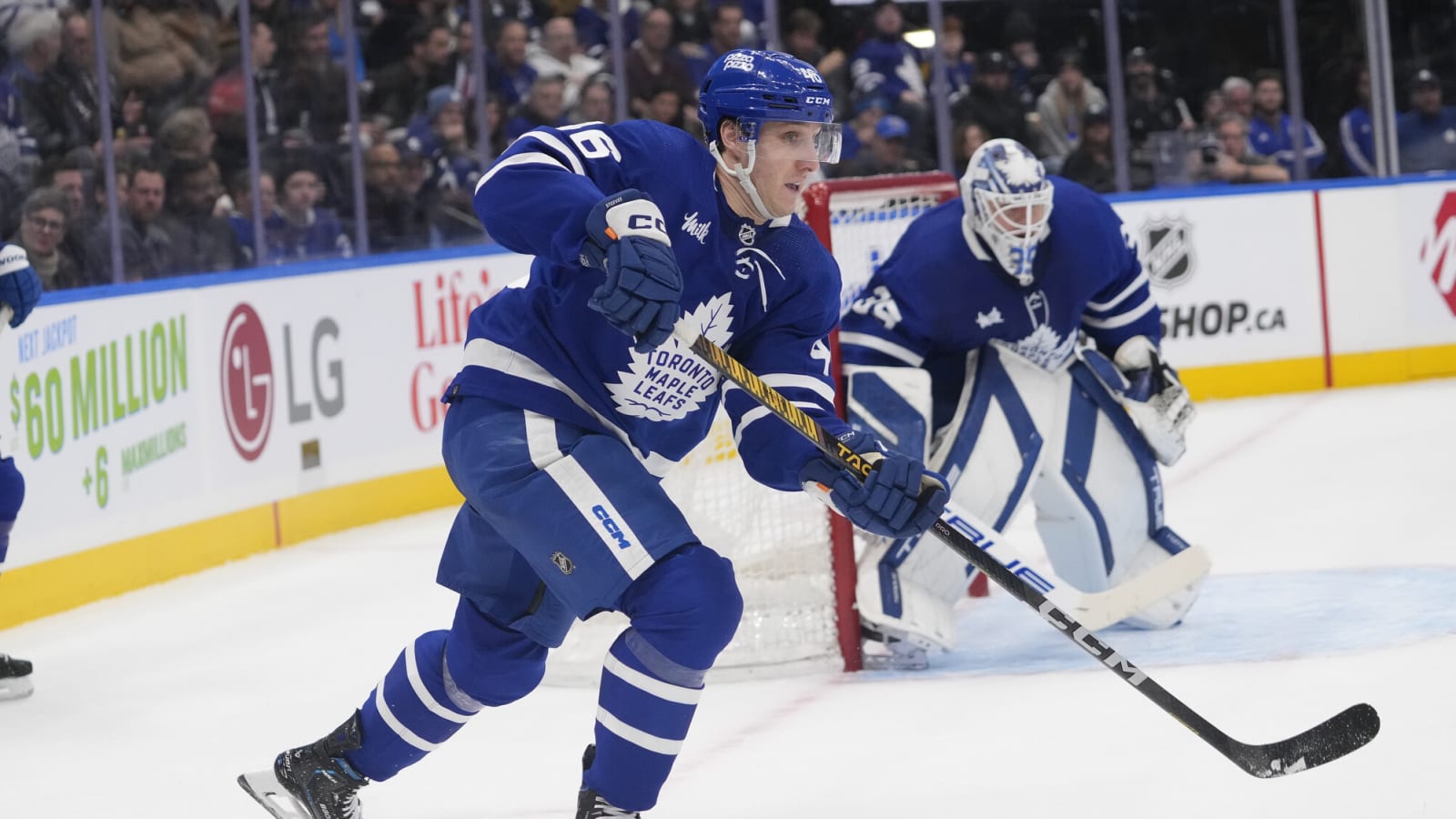Alex Steeves should finally get his opportunity with the Maple Leafs in 2024-25