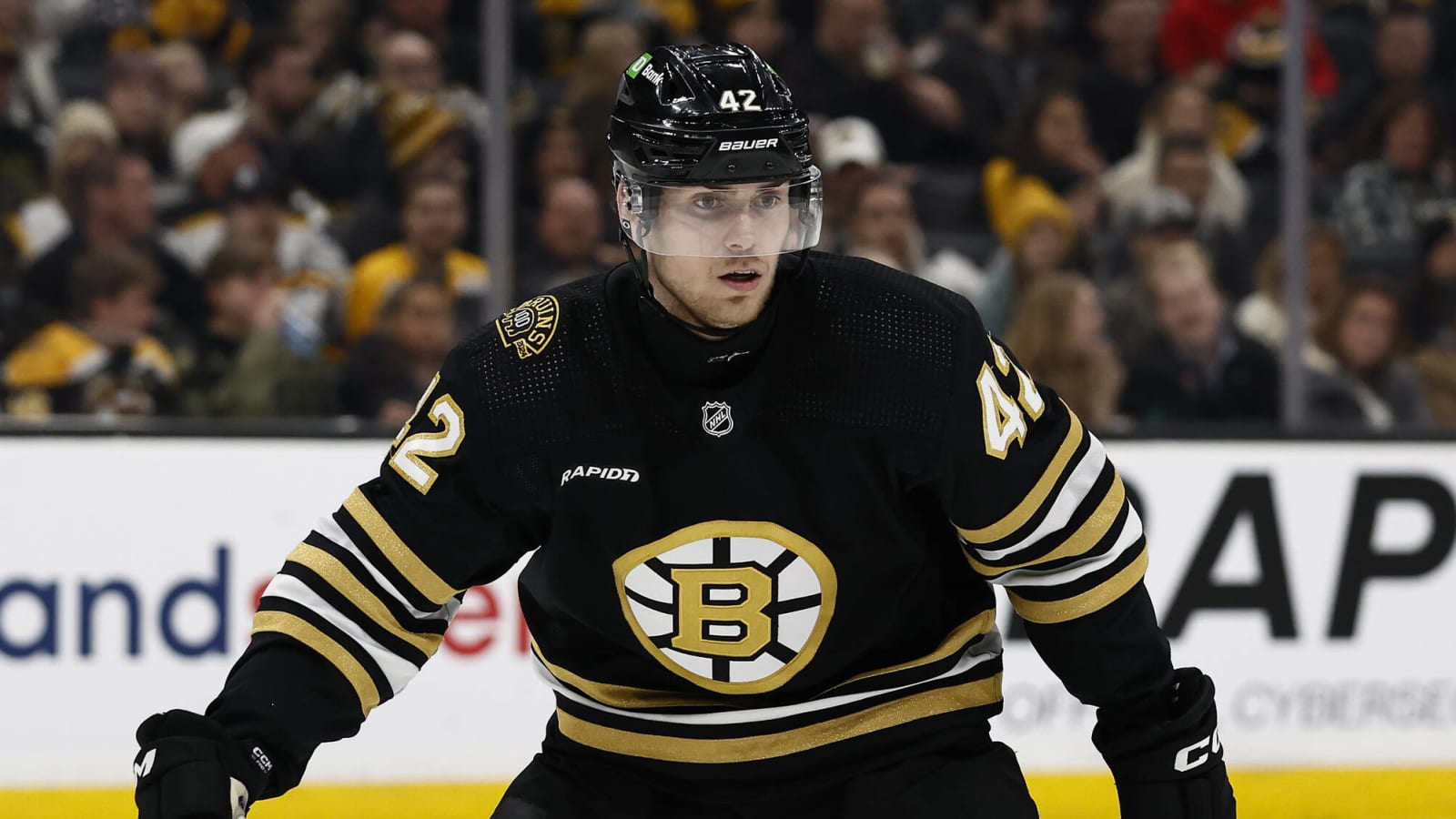 Bruins Rookie Spotlight: Georgii Merkulov