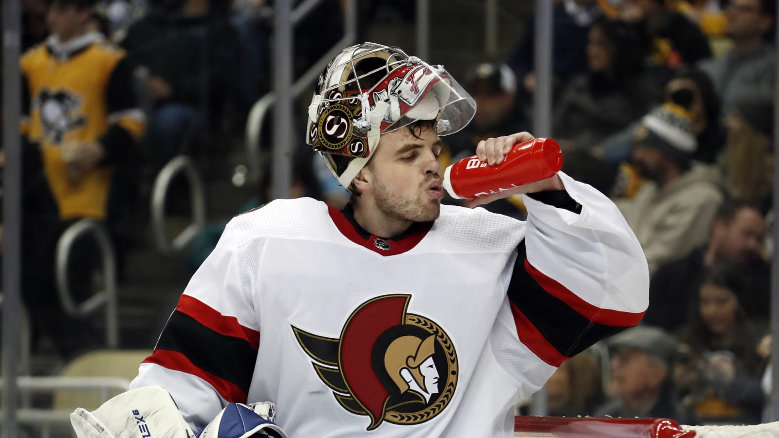 Wild Sign, Waive Dylan Ferguson