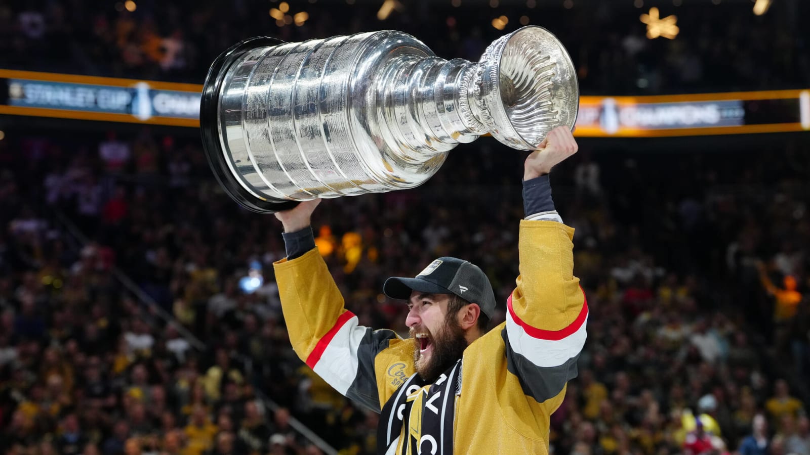 Golden Knights Stanley Cup Profile: Nicolas Roy