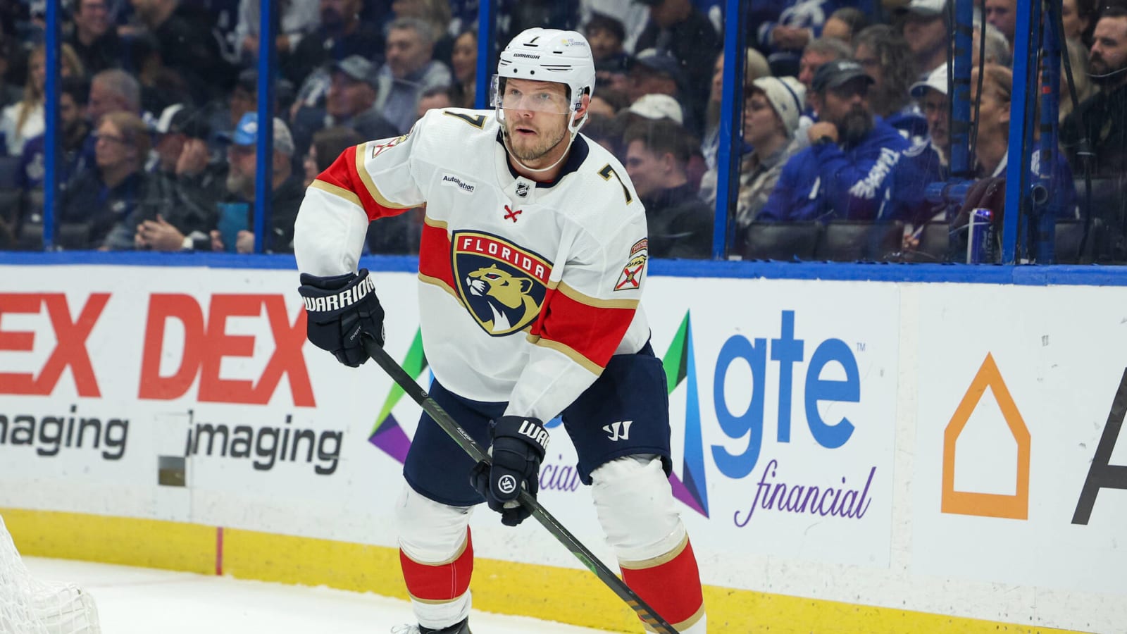 Panthers defenseman suspended two games for head contact