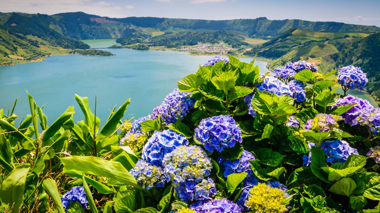 20 European places to see spring flowers