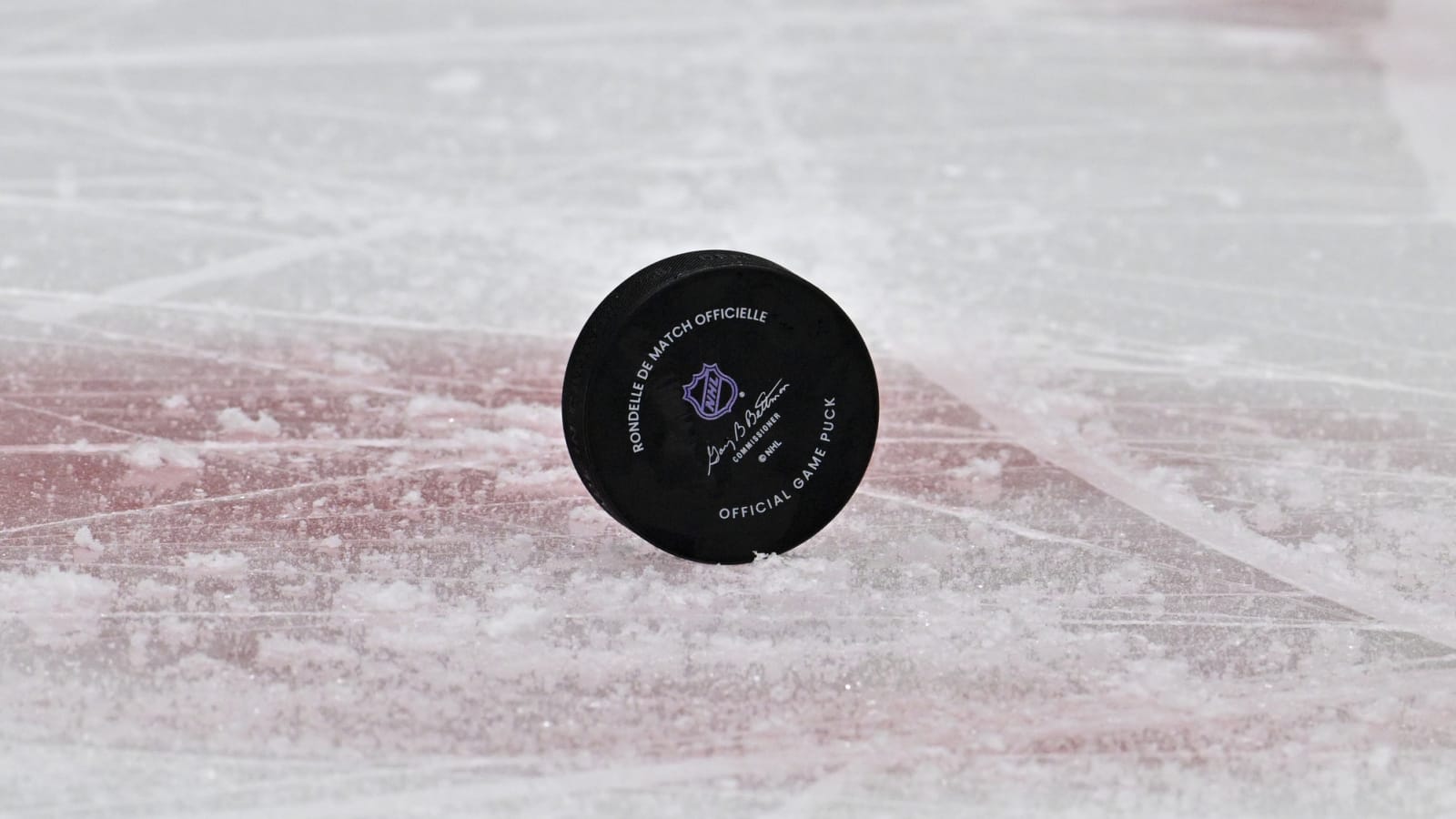 Flames place Ilya Nikolaev on unconditional waivers