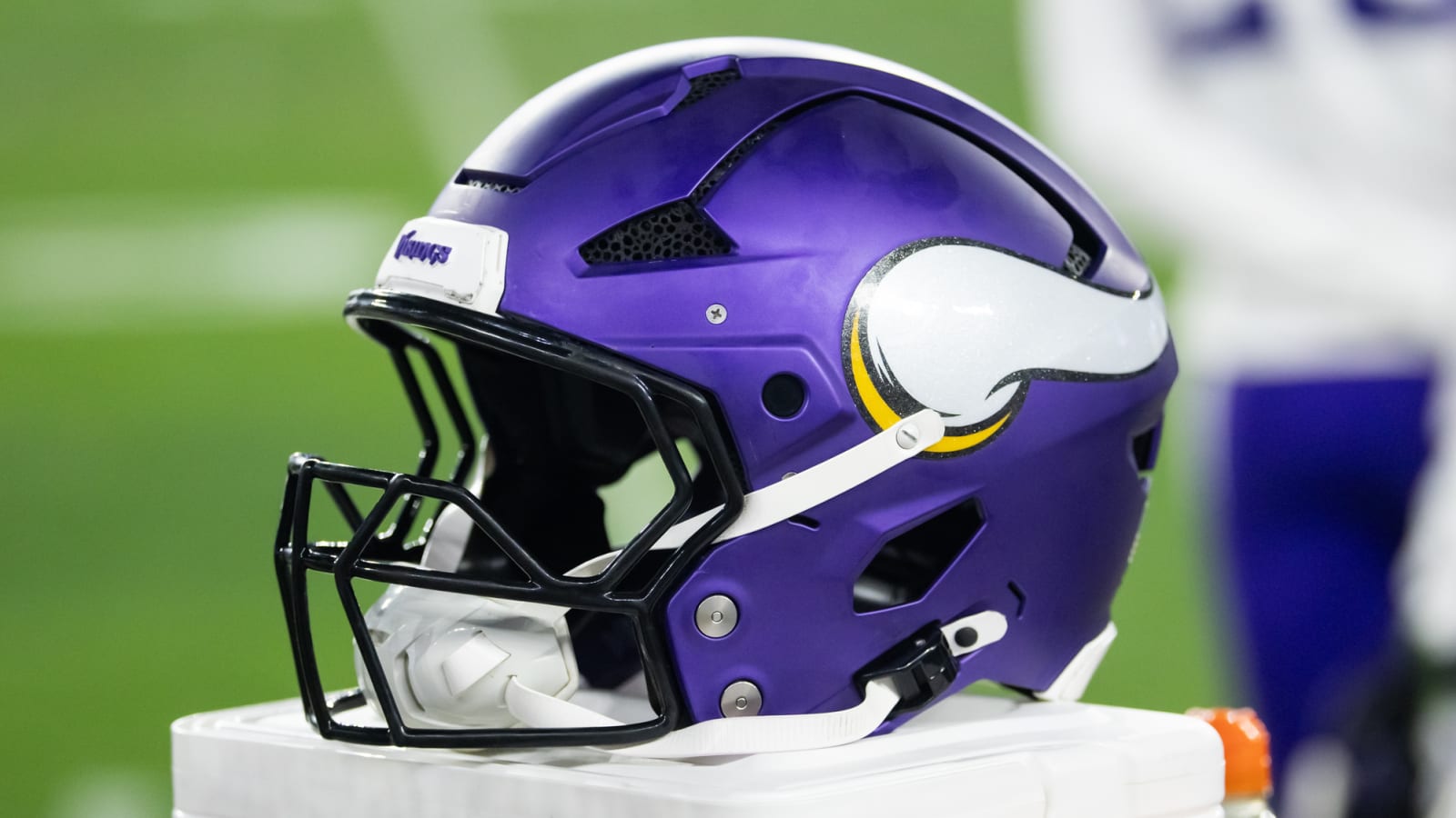 Vikings Linebackers Appear Committed to Minnesota