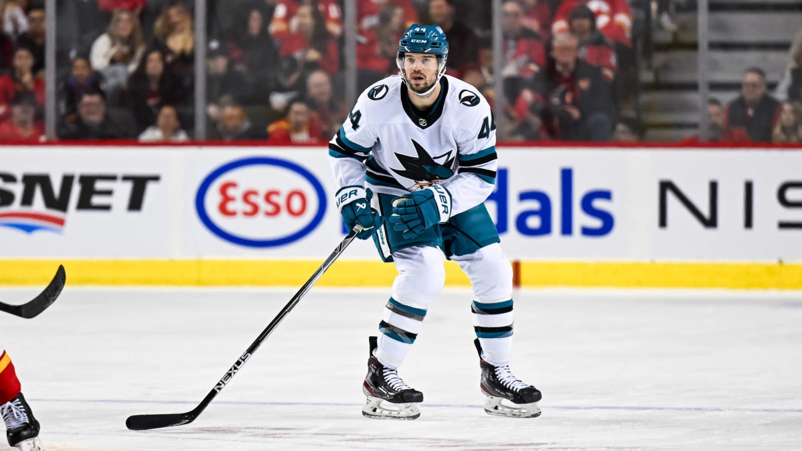 Sharks’ Vlasic and Ferraro Can Be Strong Mentors on Defense