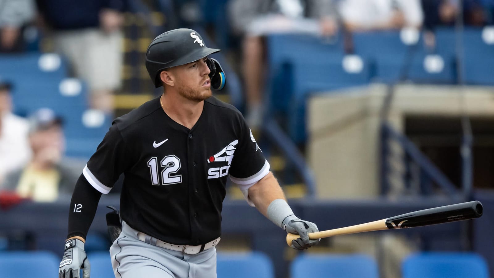 Chicago White Sox Roster: White Sox Roster: Breaking down