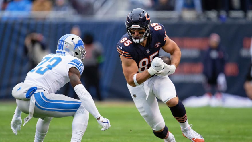 Bears TE duo are already proving to be a huge problem for opposing defenses that no one is talking about in 2024