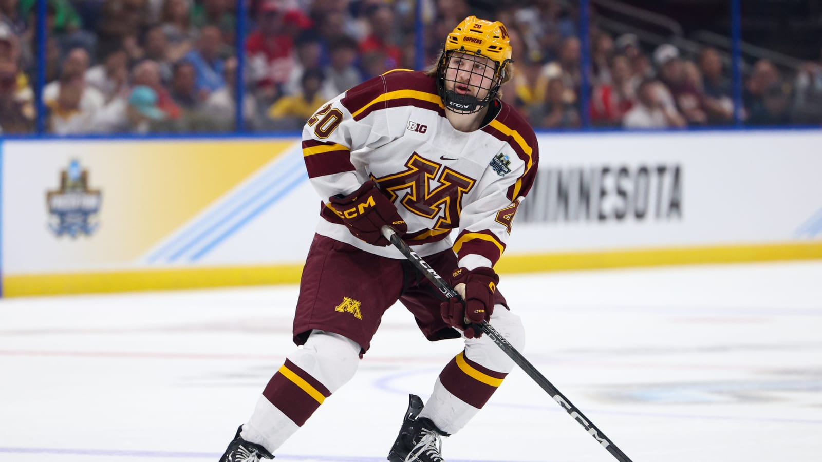 Canadiens Prospect Rankings – Family Trees & Pedigrees