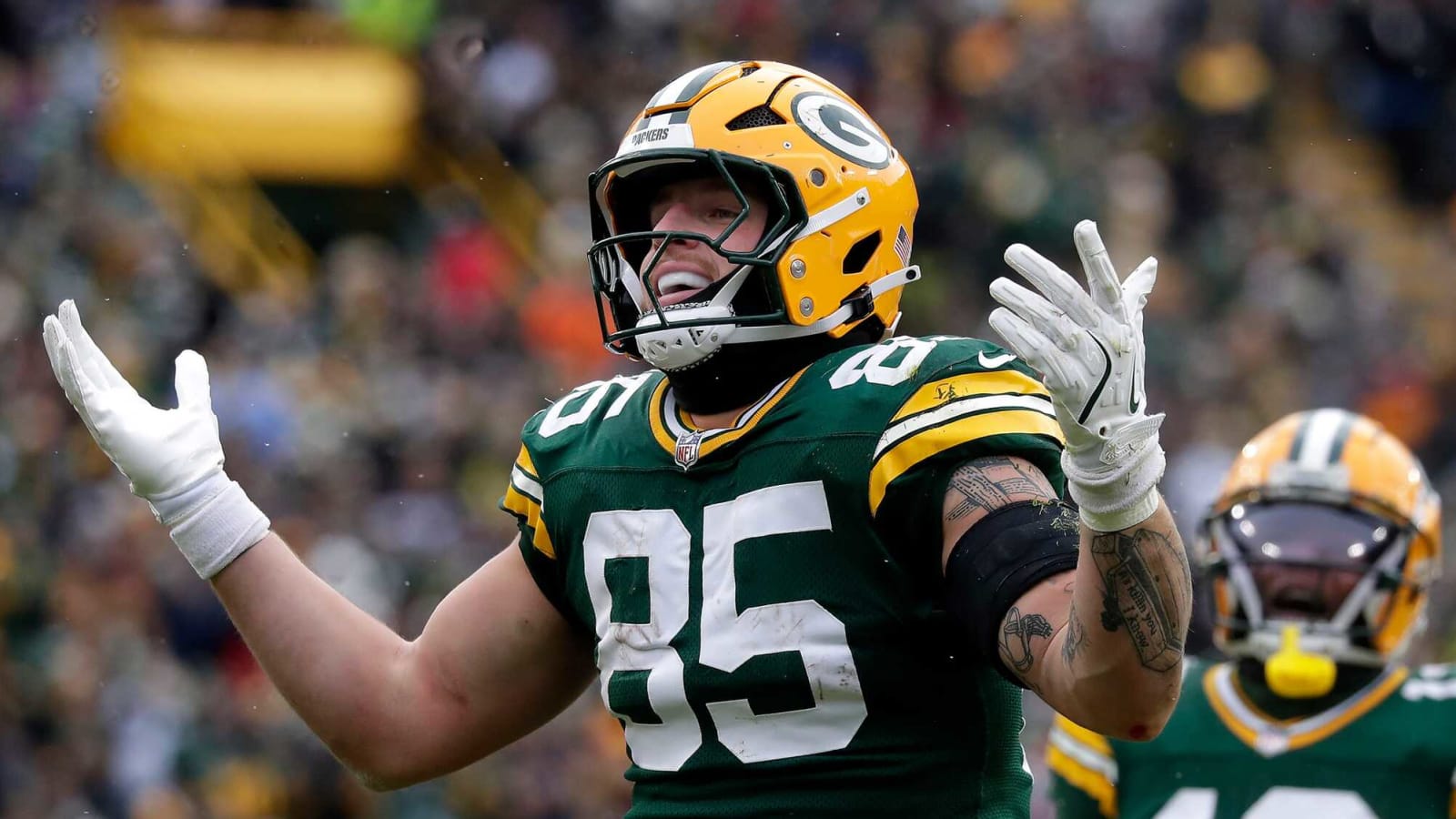 Final Grades for the 2024 Green Bay Packers: Tight Ends
