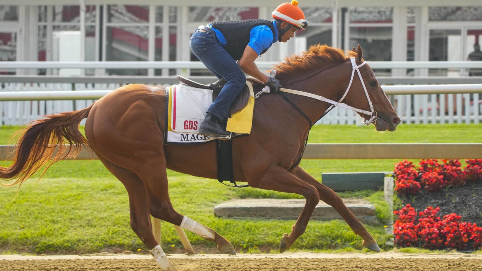 How to bet Saturday's Preakness Stakes