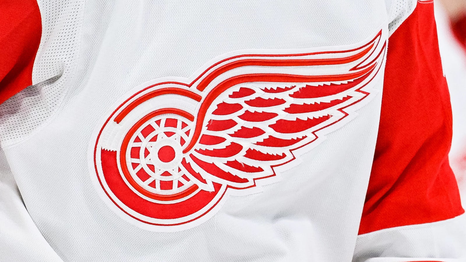 Detroit Red Wings’ 2024 Offseason Blueprint