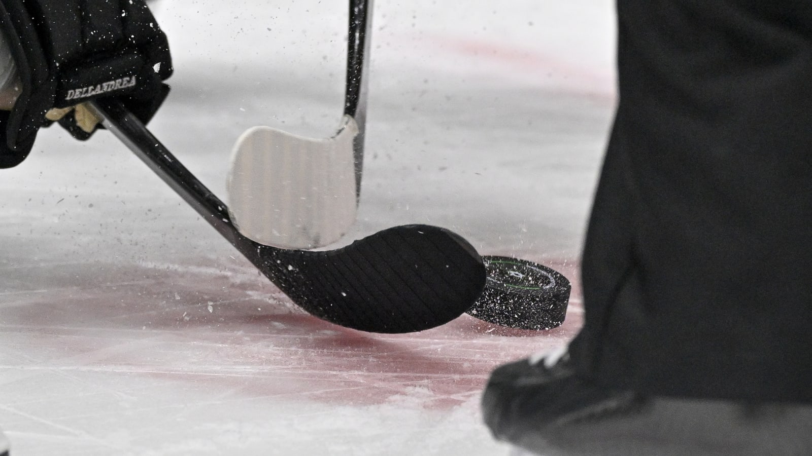 New Hockey Expansion City Officially Set to Join League Bringing the Total to 30 Teams