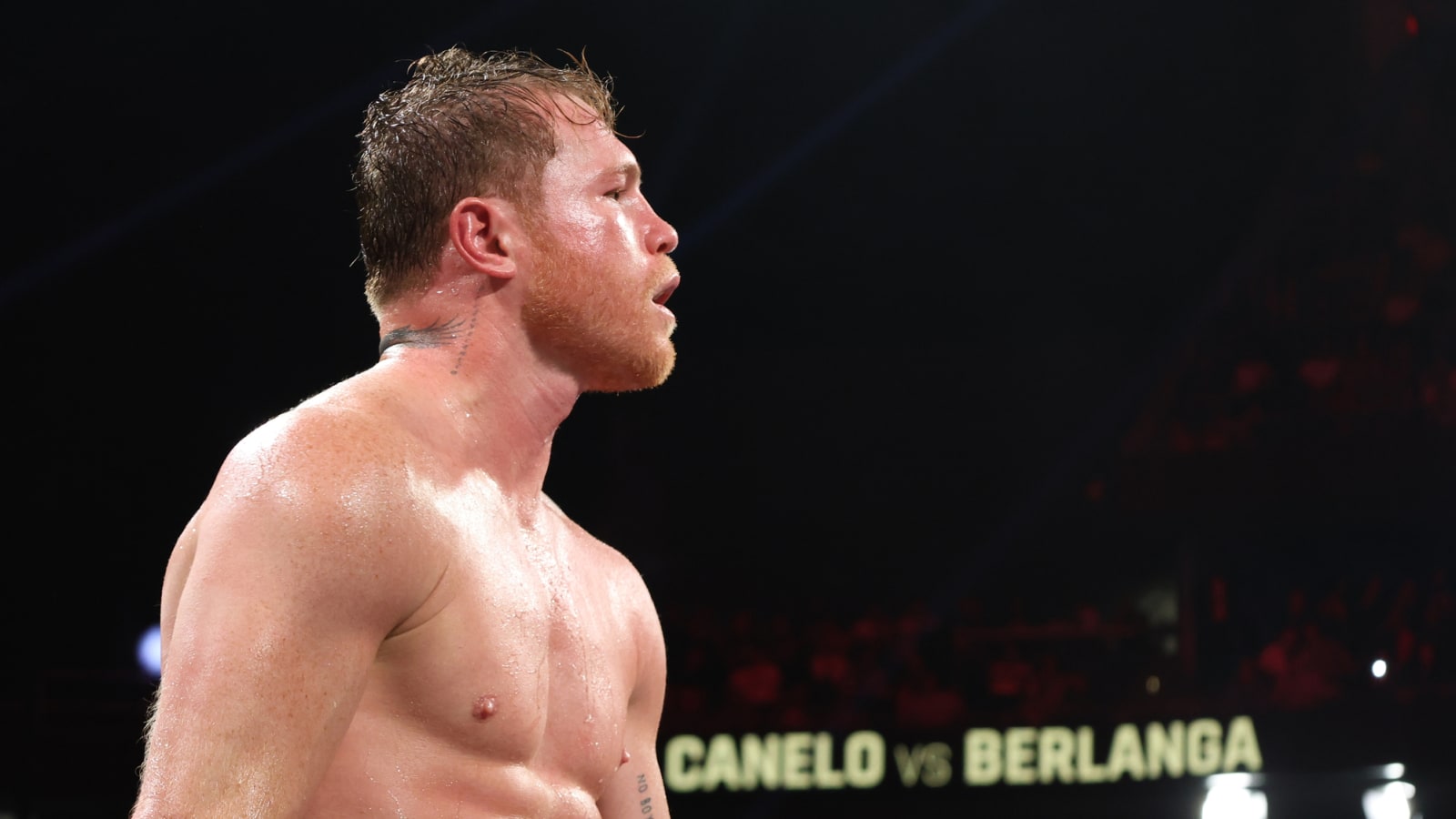 Canelo Alvarez&#39;s monster contract with Turki Alalshikh details leaked