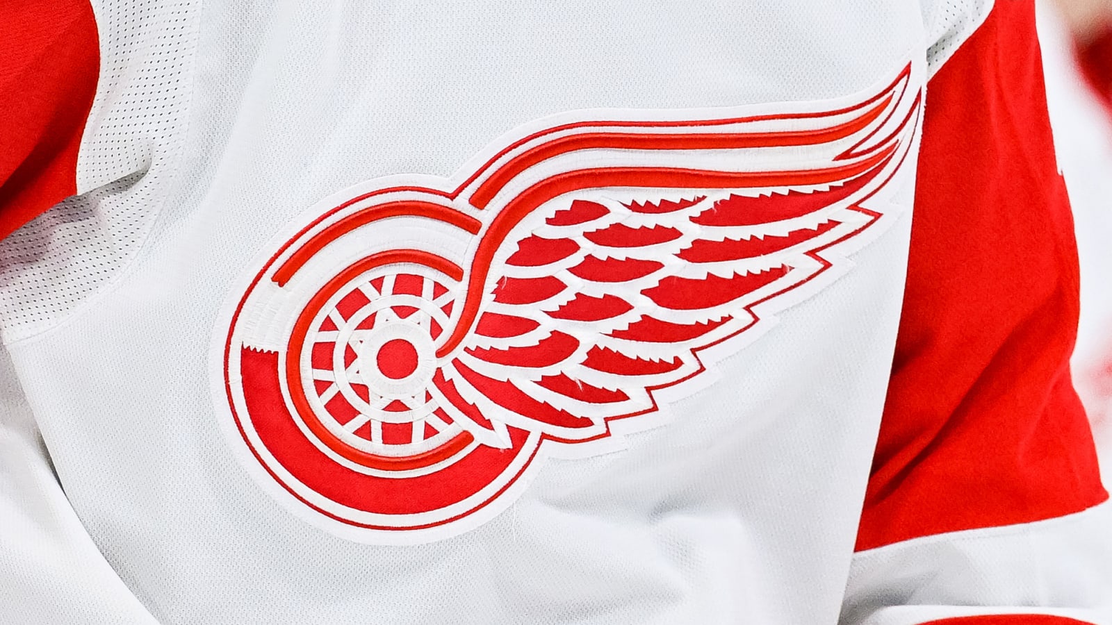 High Hopes For Red Wings Prospect Buchelnikov