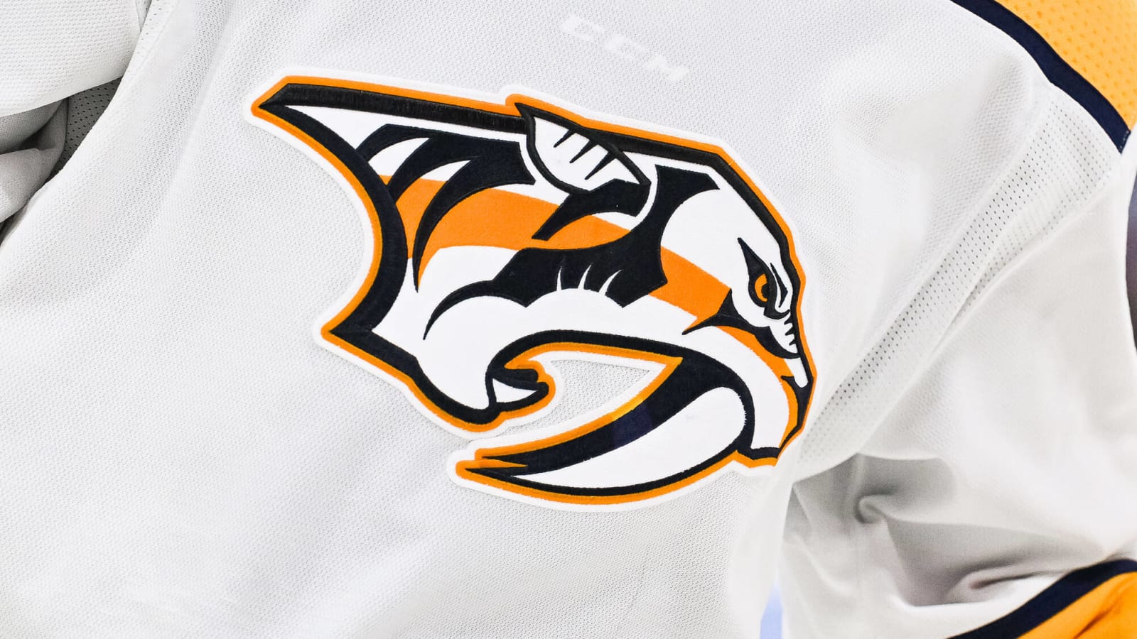 QMJHL suspends Predators prospect indefinitely