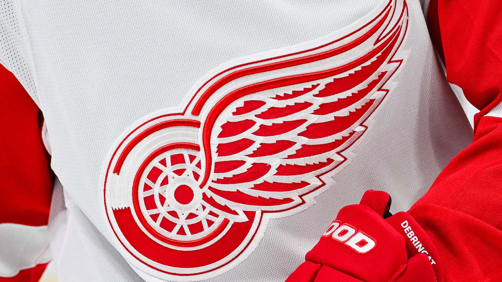 Who Are These Guys On Red Wings Rookie Roster?