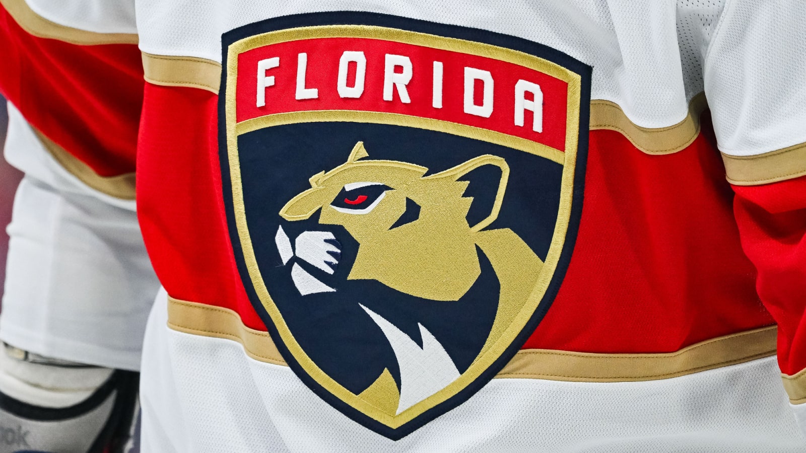 Florida Panthers select Simon Zether No. 129 overall in 2024 NHL Draft