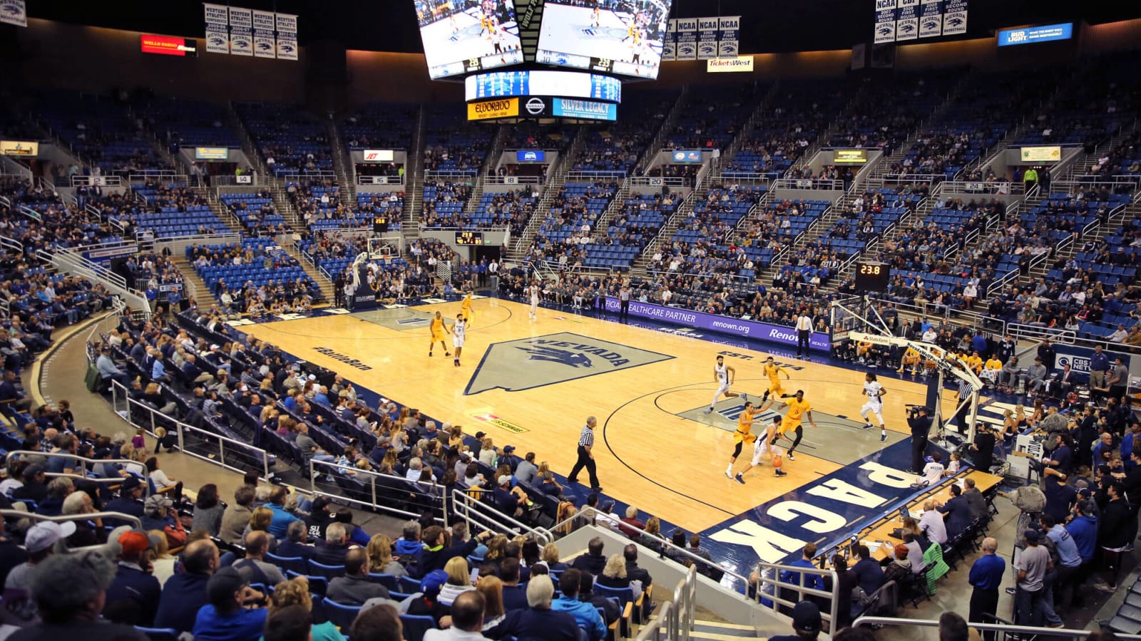 Bats swarm the court during Nevada-Sacramento State game