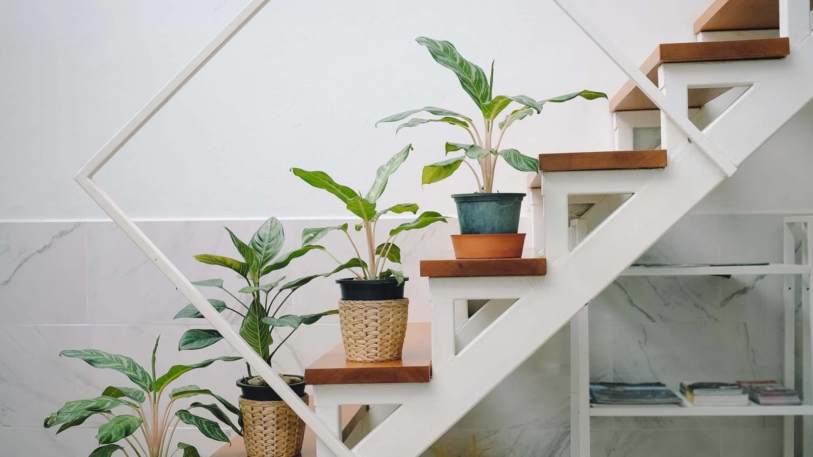 15 unexpected places to add a plant in your home