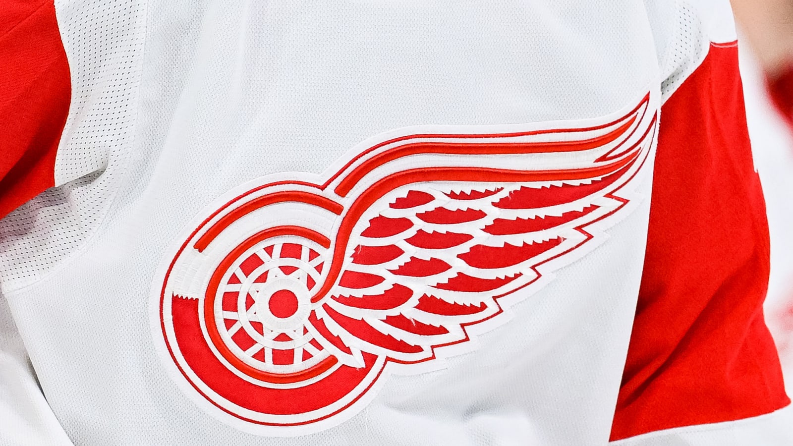Red Wings Sign Anton Johansson To Entry-Level Contract