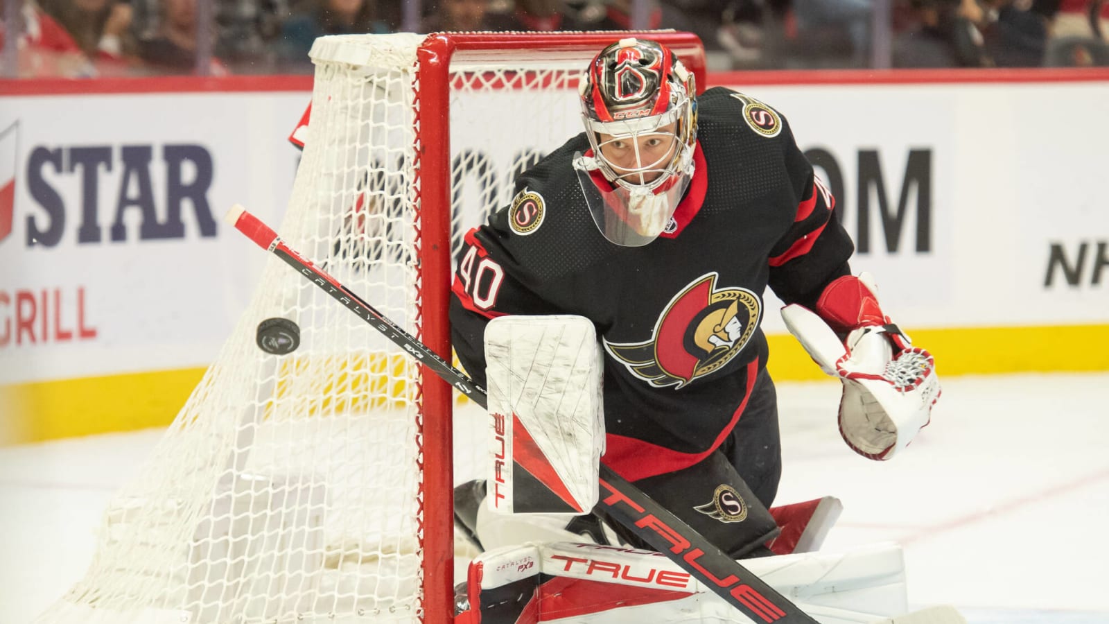 Senators recall top goalie prospect