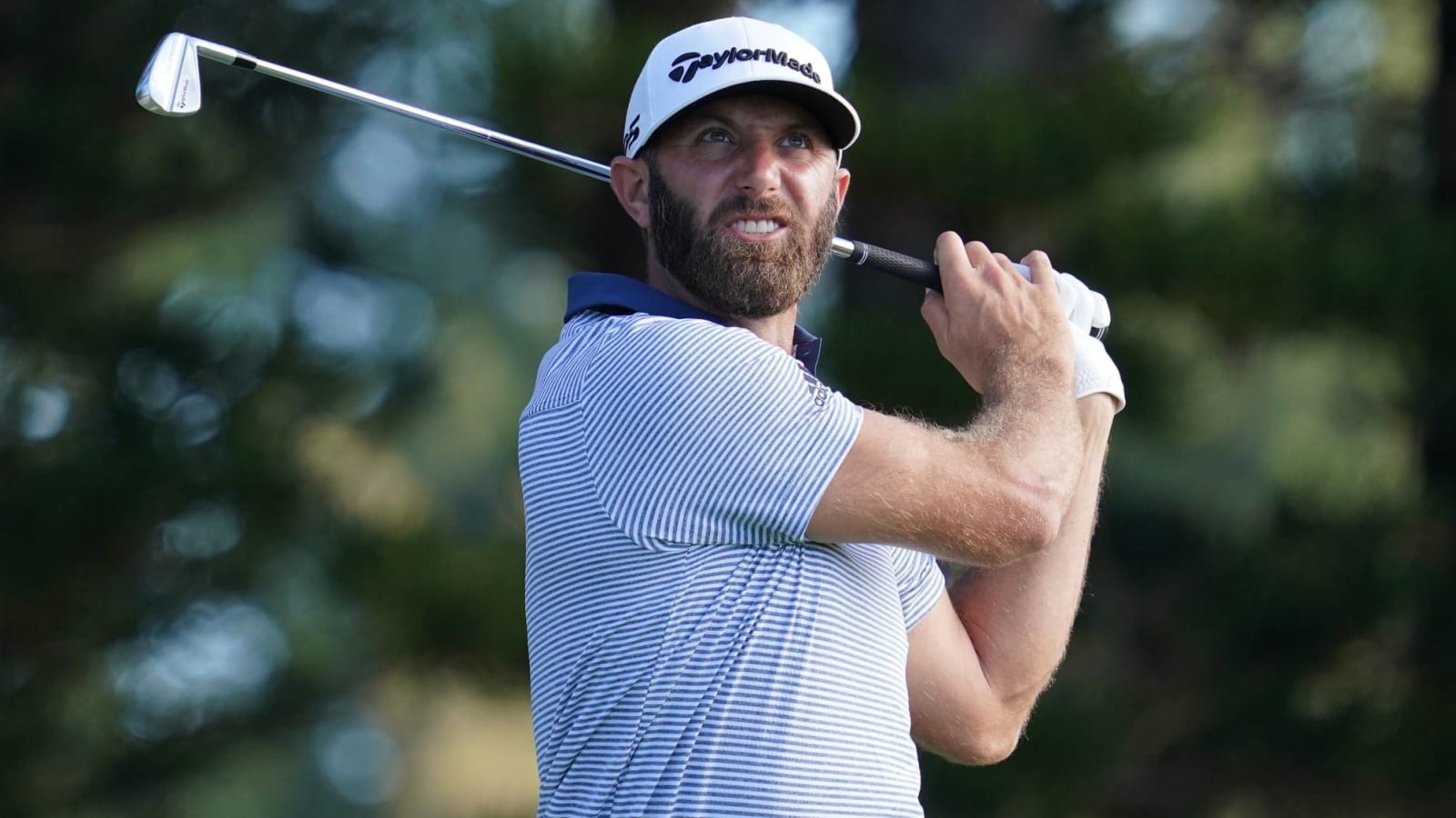 Dustin Johnson hits spectator with drive Yardbarker