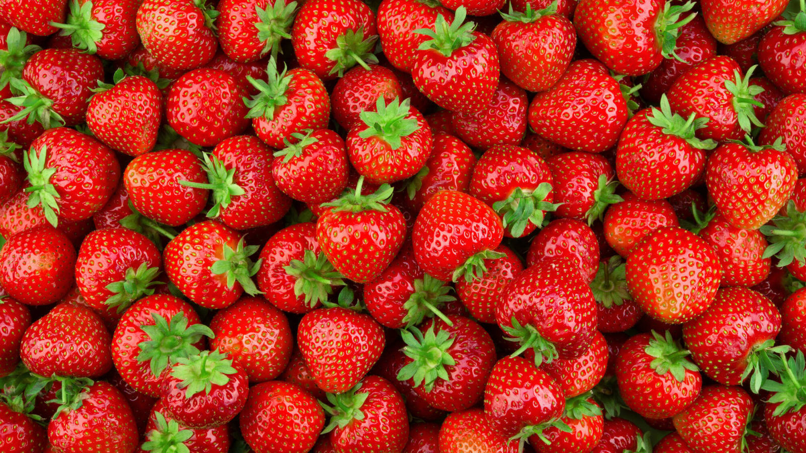 20 fruits and vegetables that you can grow at home