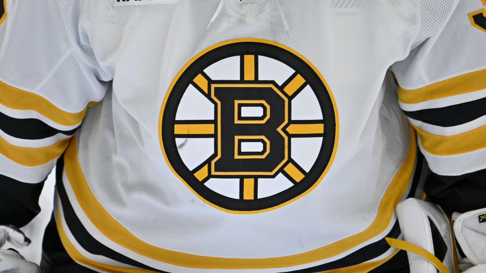 Ryan Johnston Named New Radio Voice of Boston Bruins