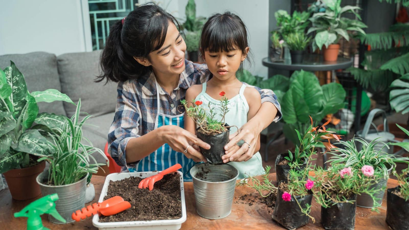 20 tips and tricks for new plant parents