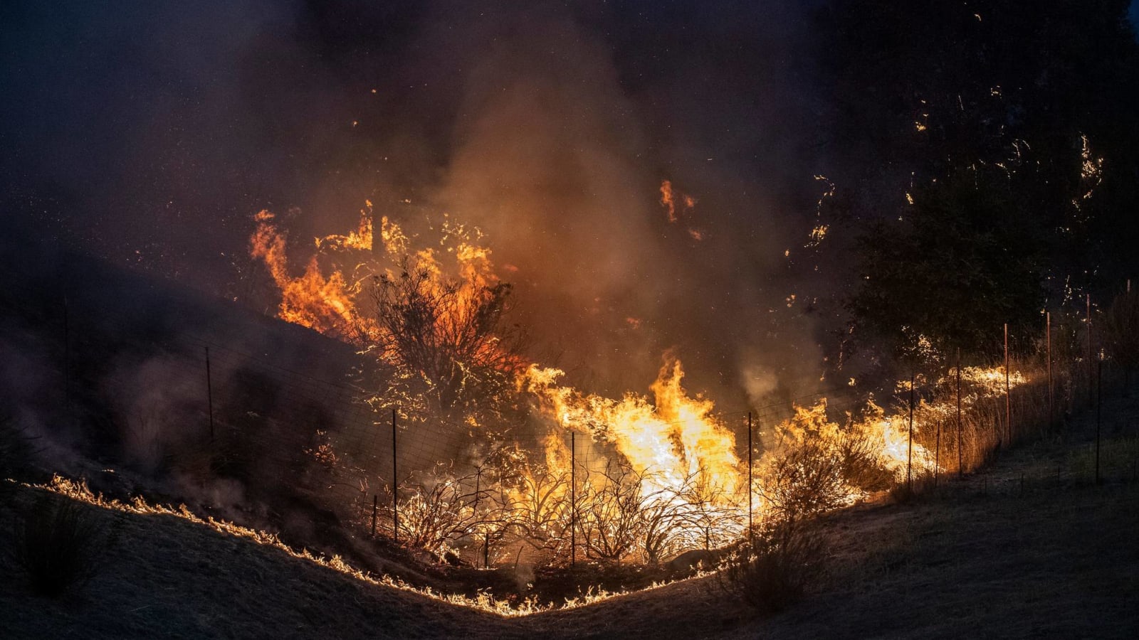 Report: Wildfires not yet affecting 49ers-Cardinals game 