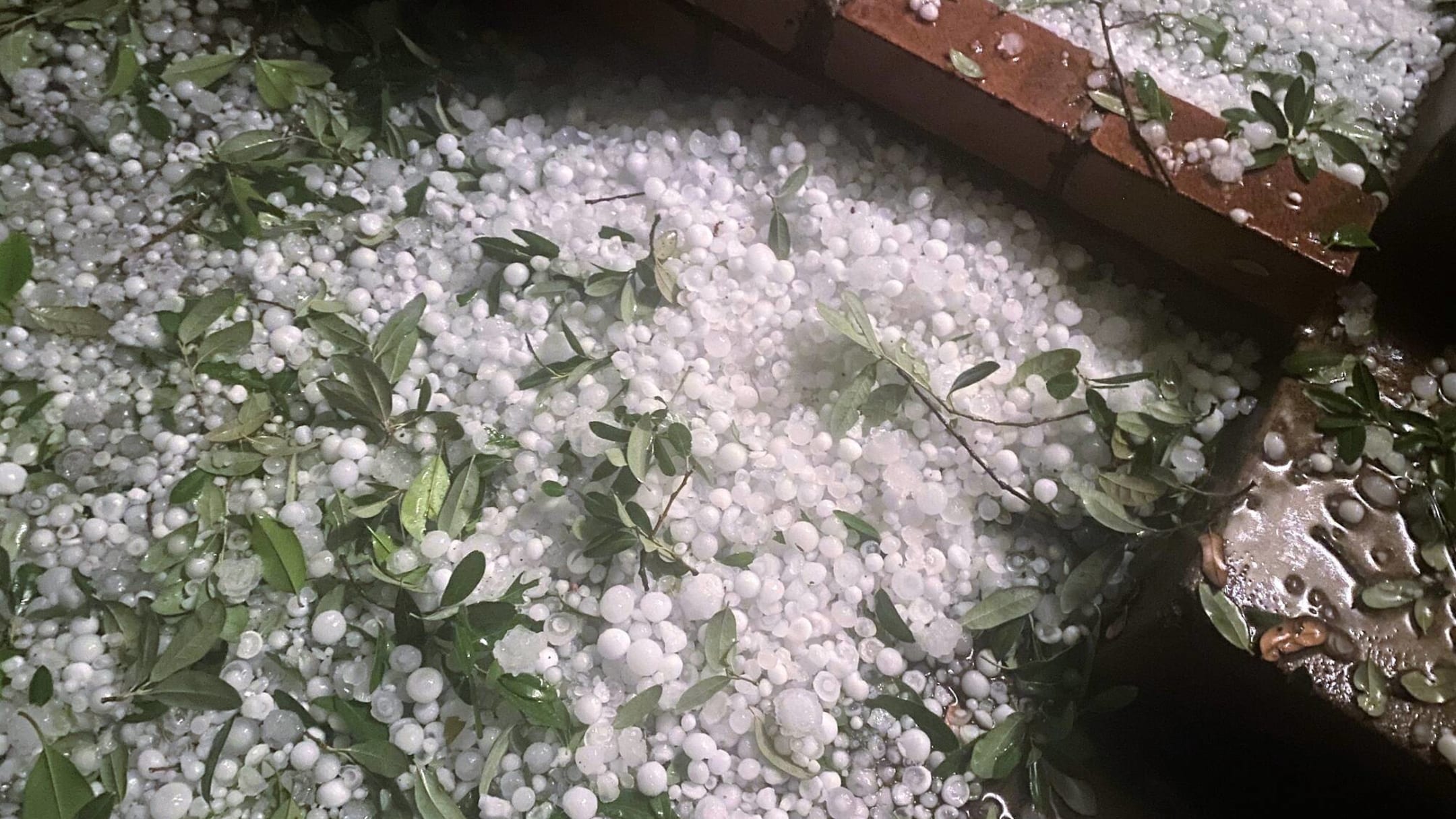 Watch MiLB game interrupted by hail storm Yardbarker