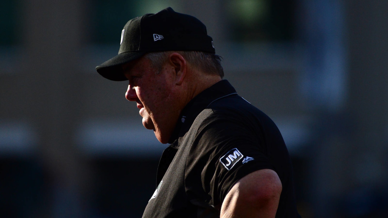 MLB umpires' union rebukes Joe West after controversial coronavirus comments 