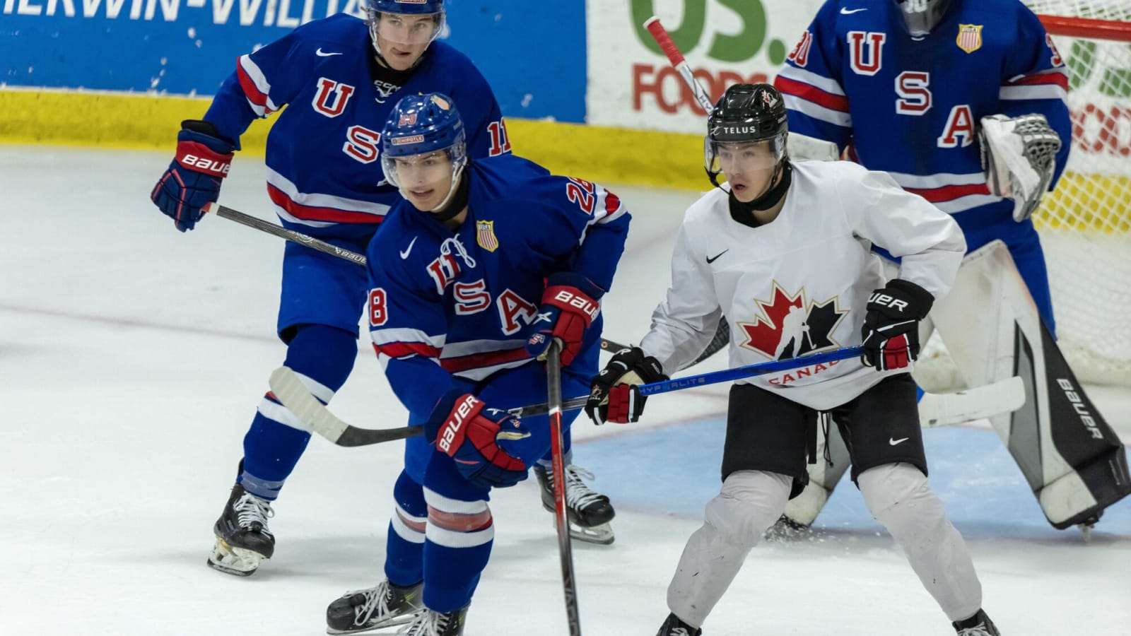 Musty, Svoboda, Sahlin Wallenius Stand Out + Morehouse Talks Sharks Prospects