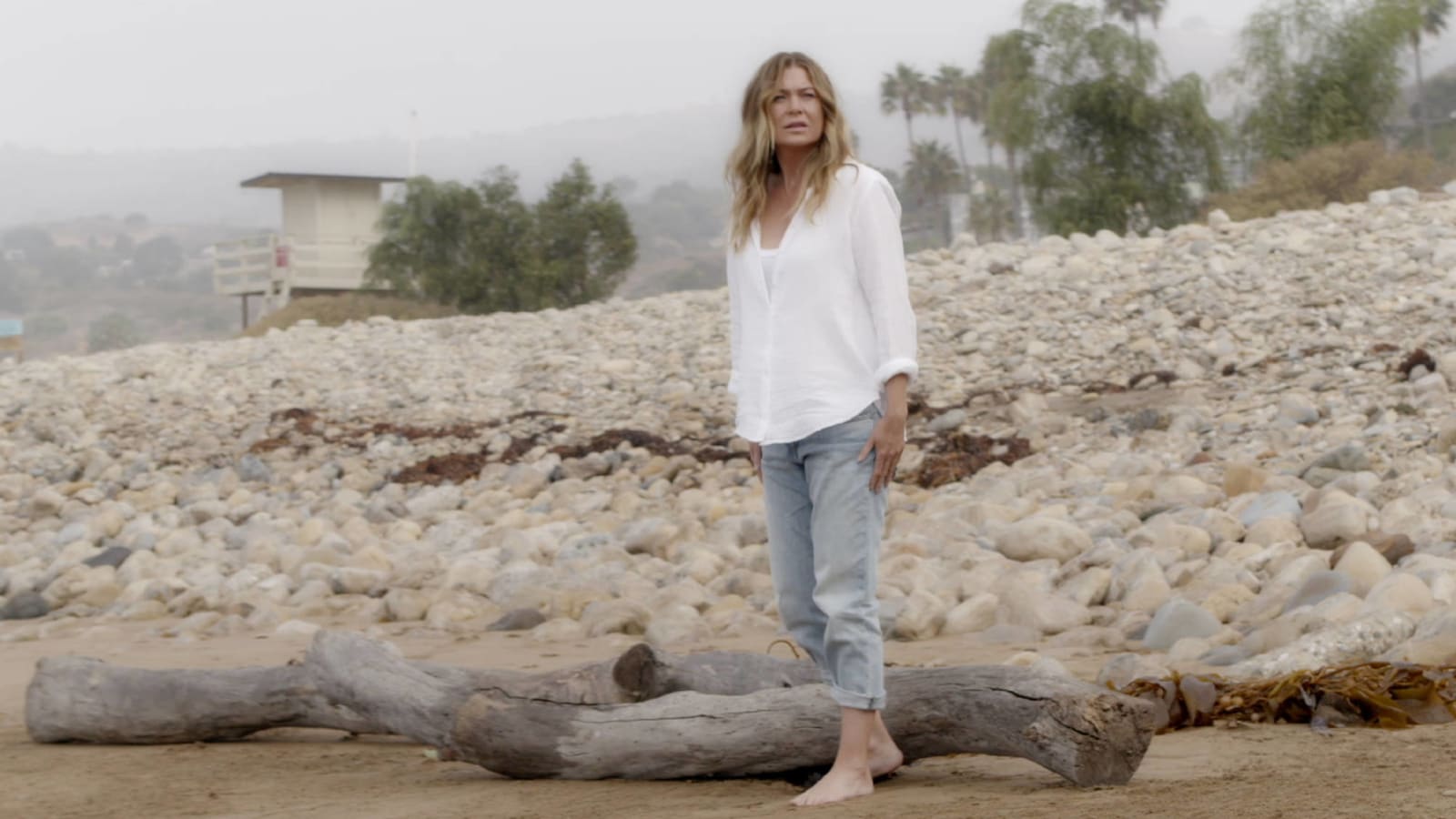 'Grey's Anatomy' recap: Two beloved ex-characters visit Meredith's beach