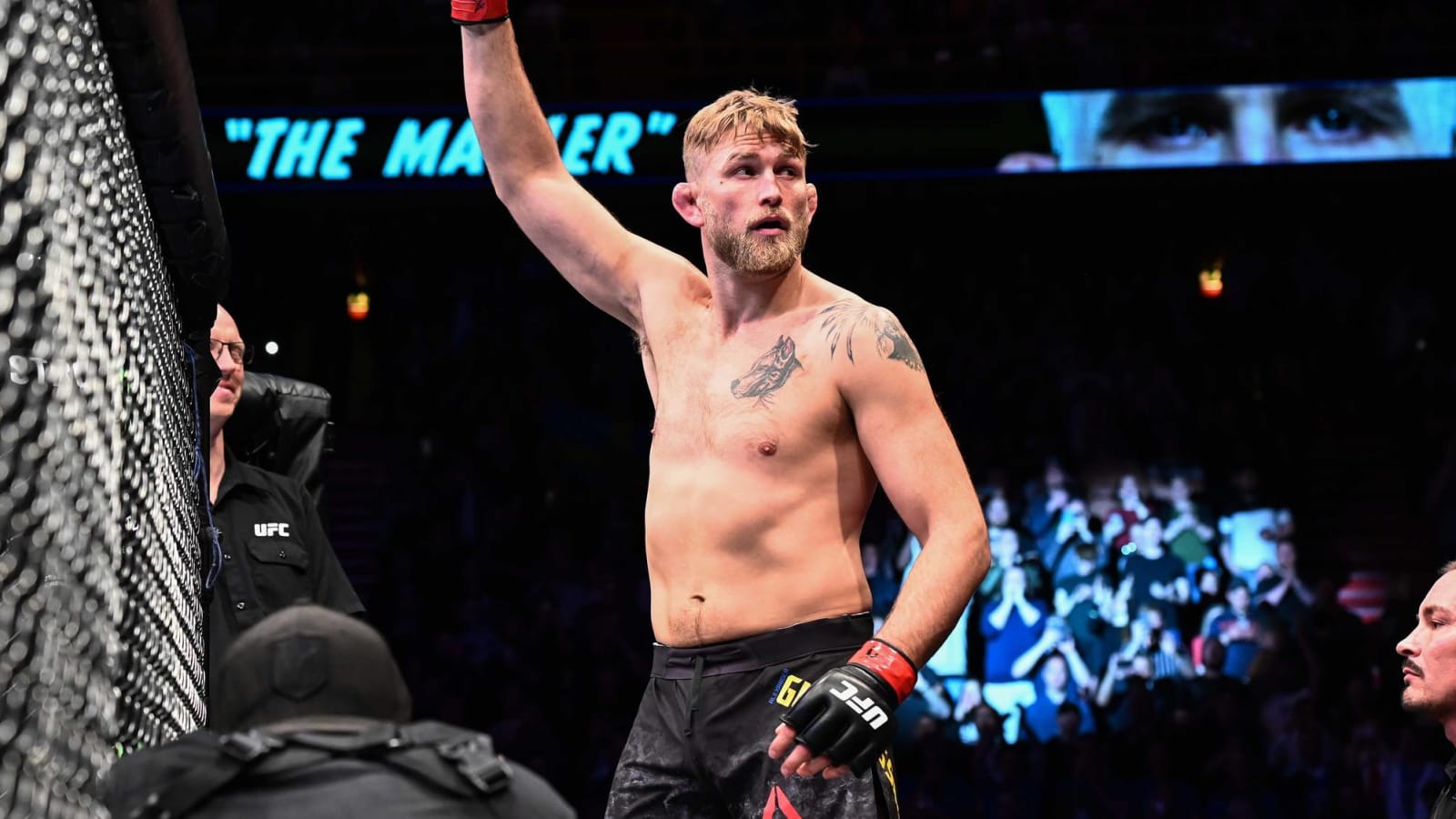 Alexander Gustafsson unretires, will face Fabricio Werdum at heavyweight on Fight Island