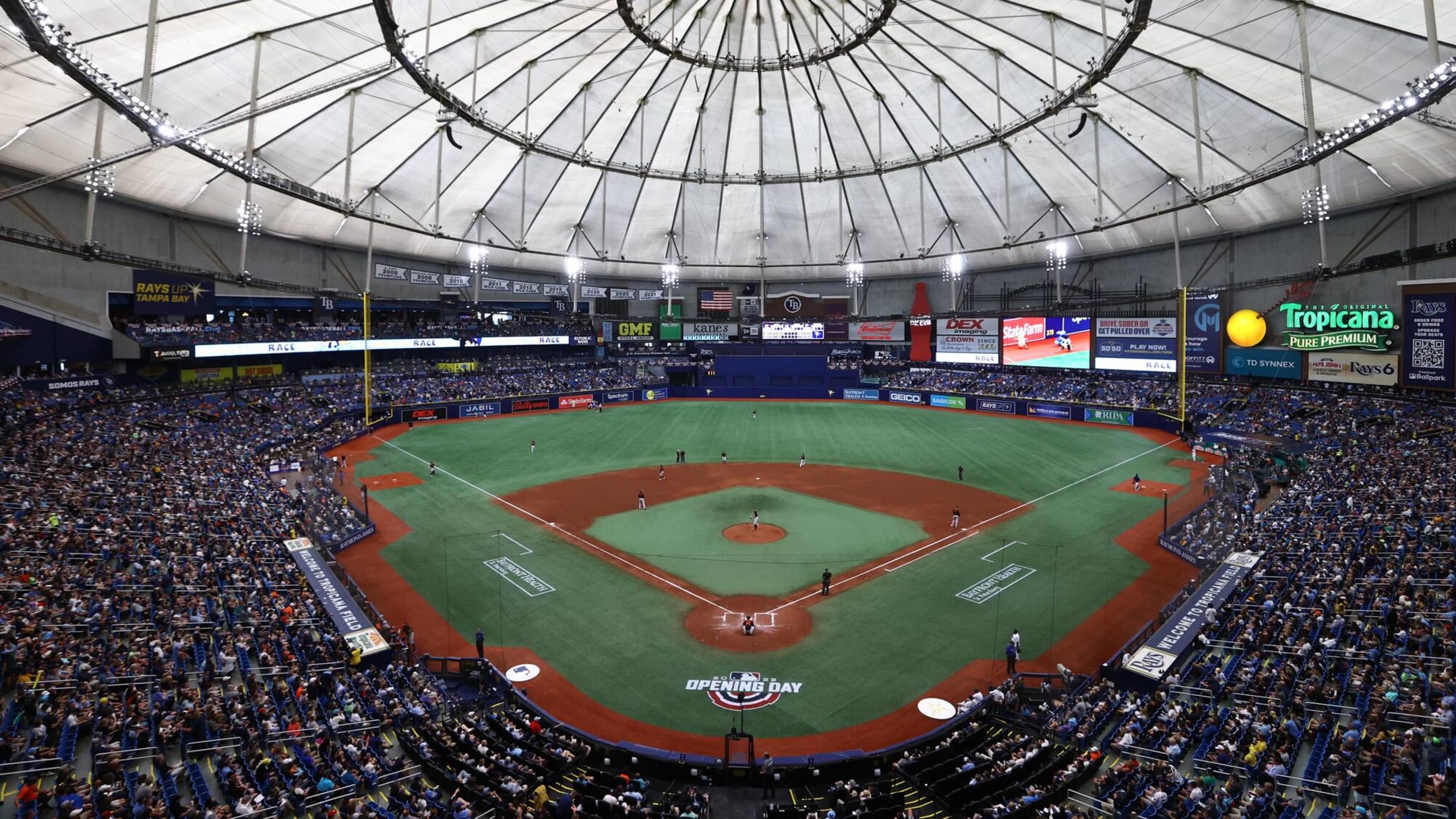 Tropicana Field - Tampa Bay Rays  Tampa bay rays, Tampa bay, Florida home