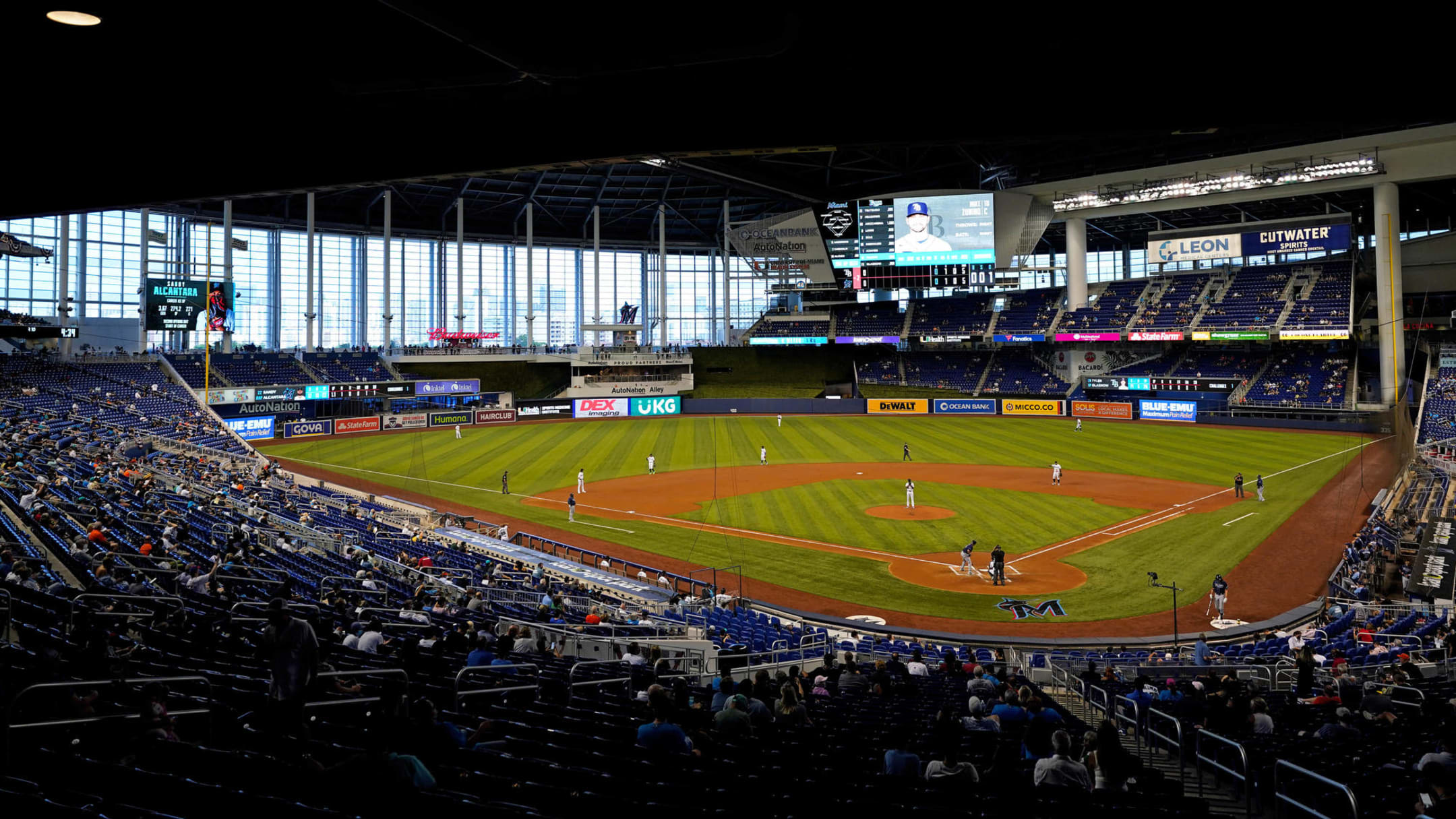644 Florida Marlins Mascot Stock Photos, High-Res Pictures, and