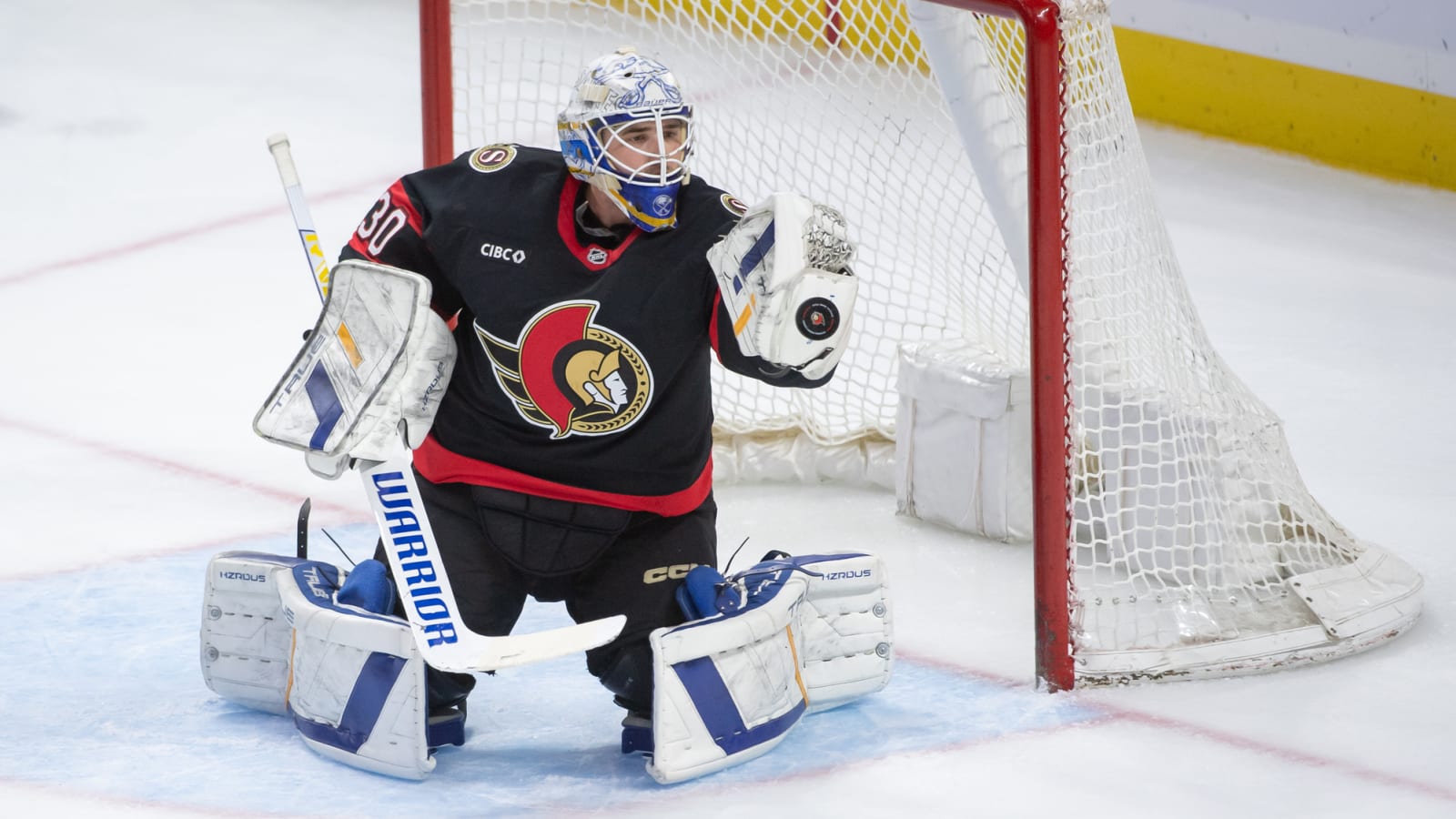 Carolina Hurricanes Sign, Waive Dustin Tokarski