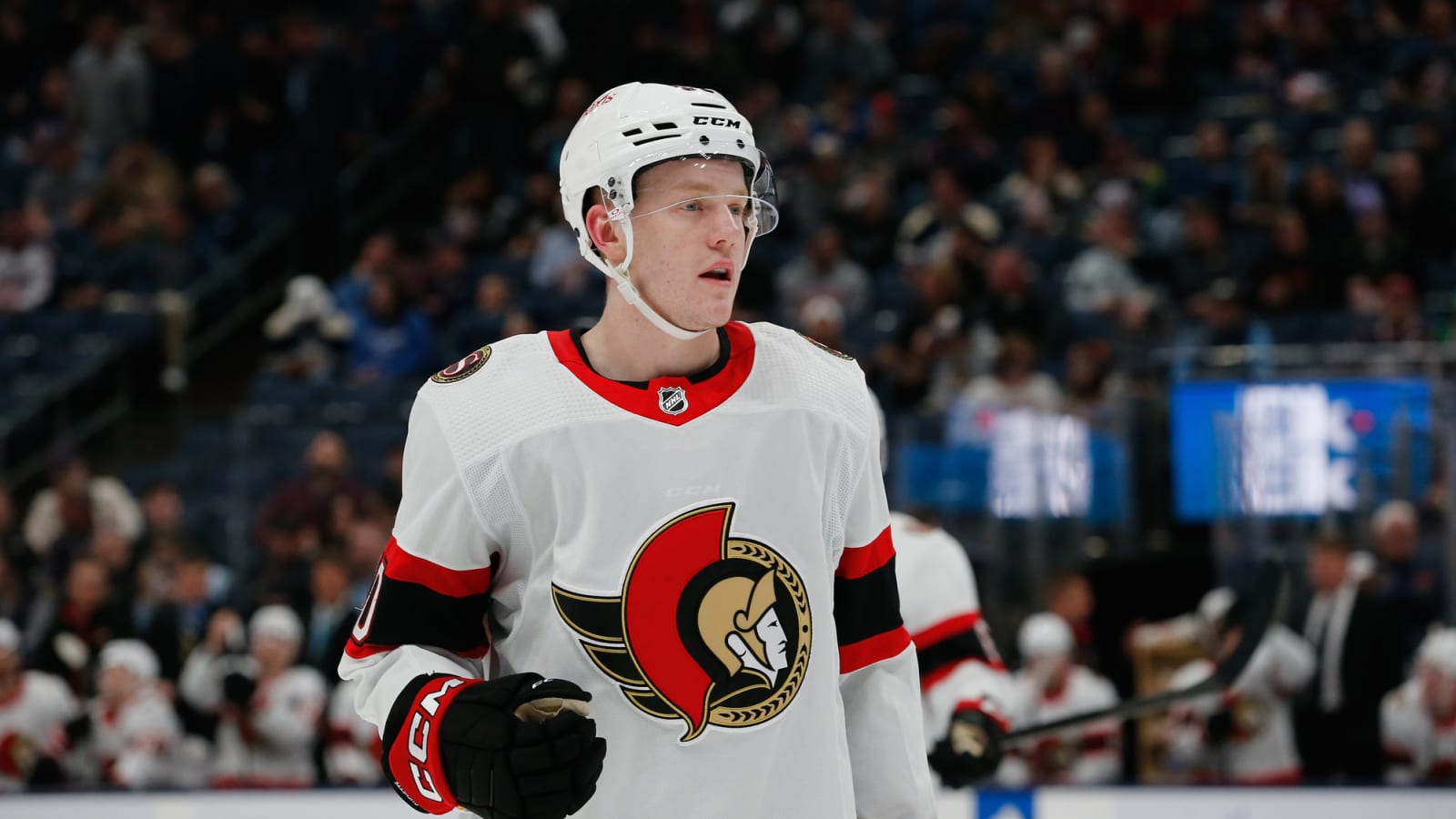 Senators Reassign Max Guenette