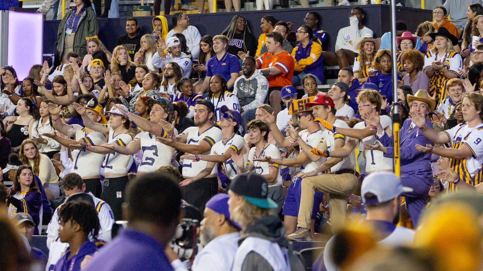 Watch: Fan captures duck roaming the field during LSU-Florida game