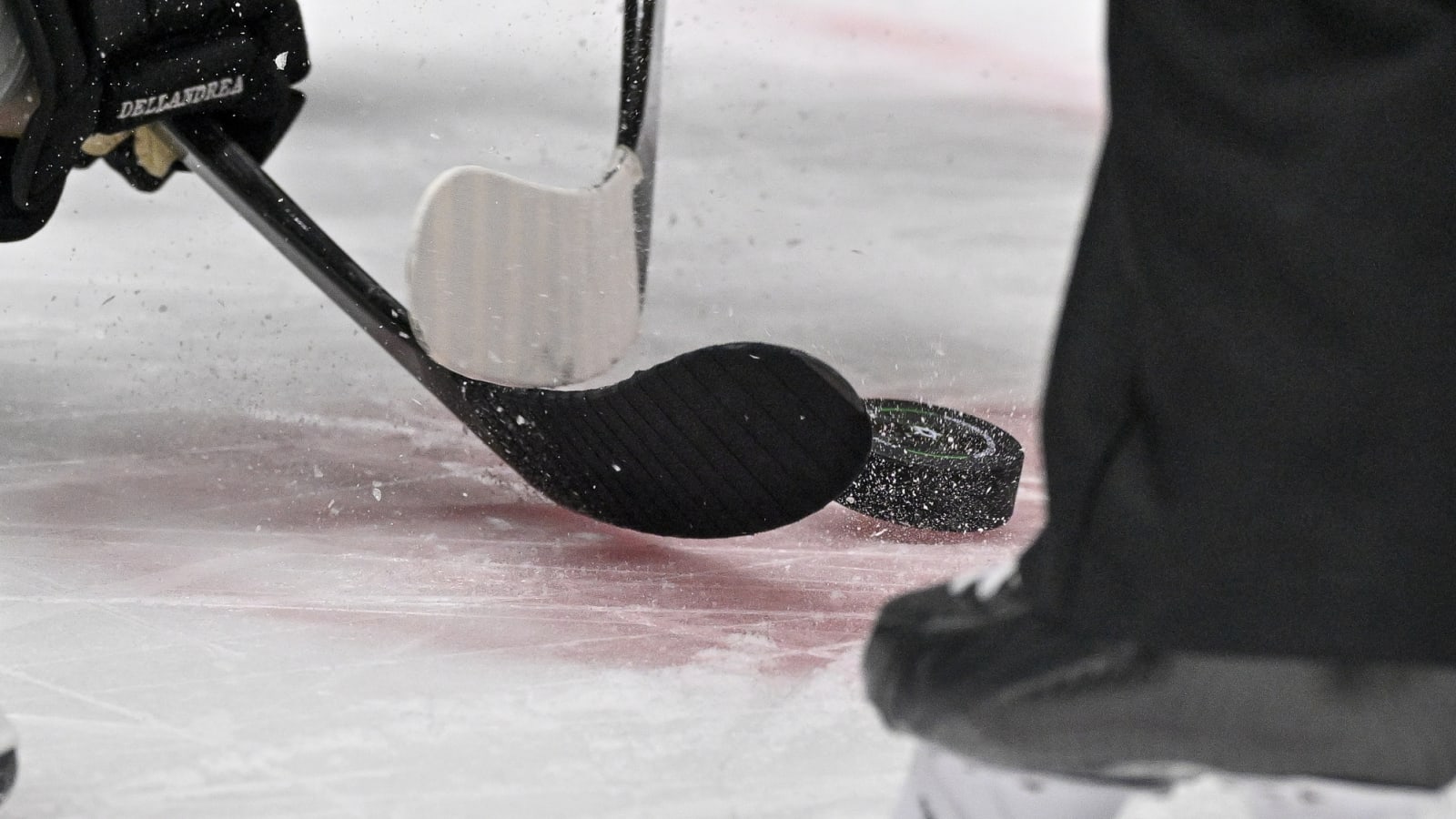 Red Wings 2024 Third-Round Pick Gets Griffins Tryout