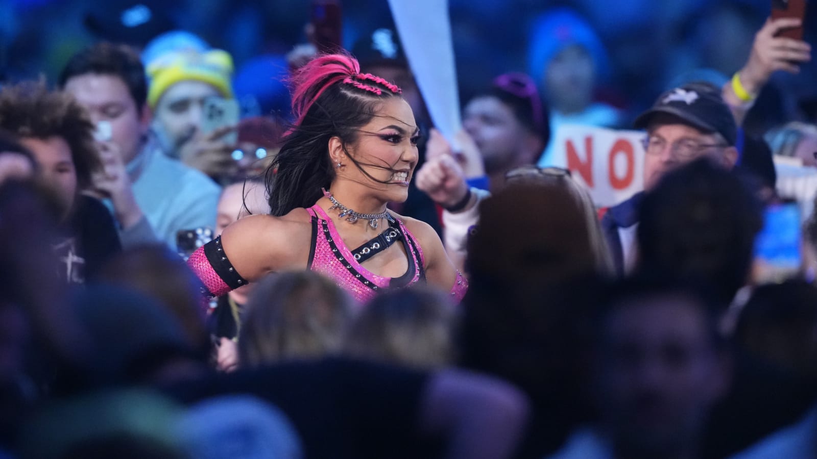 WWE NXT Vengeance Day 2025 Results & Reactions