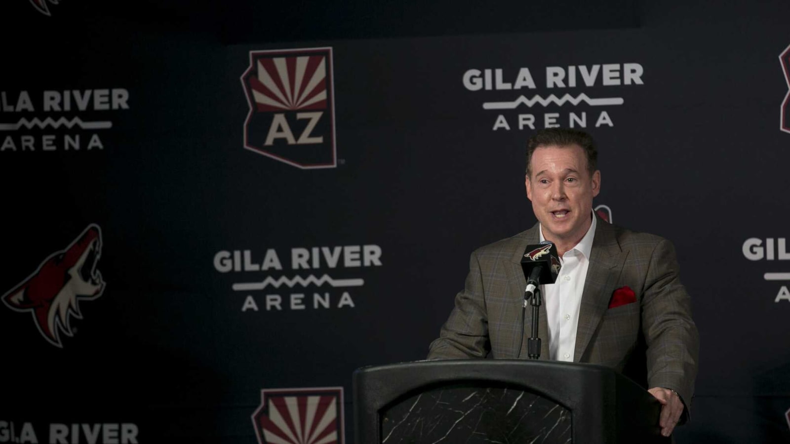 Ex-Coyotes Owner Alex Meruelo Seeks Public Funding for Ambitious New Sports Project
