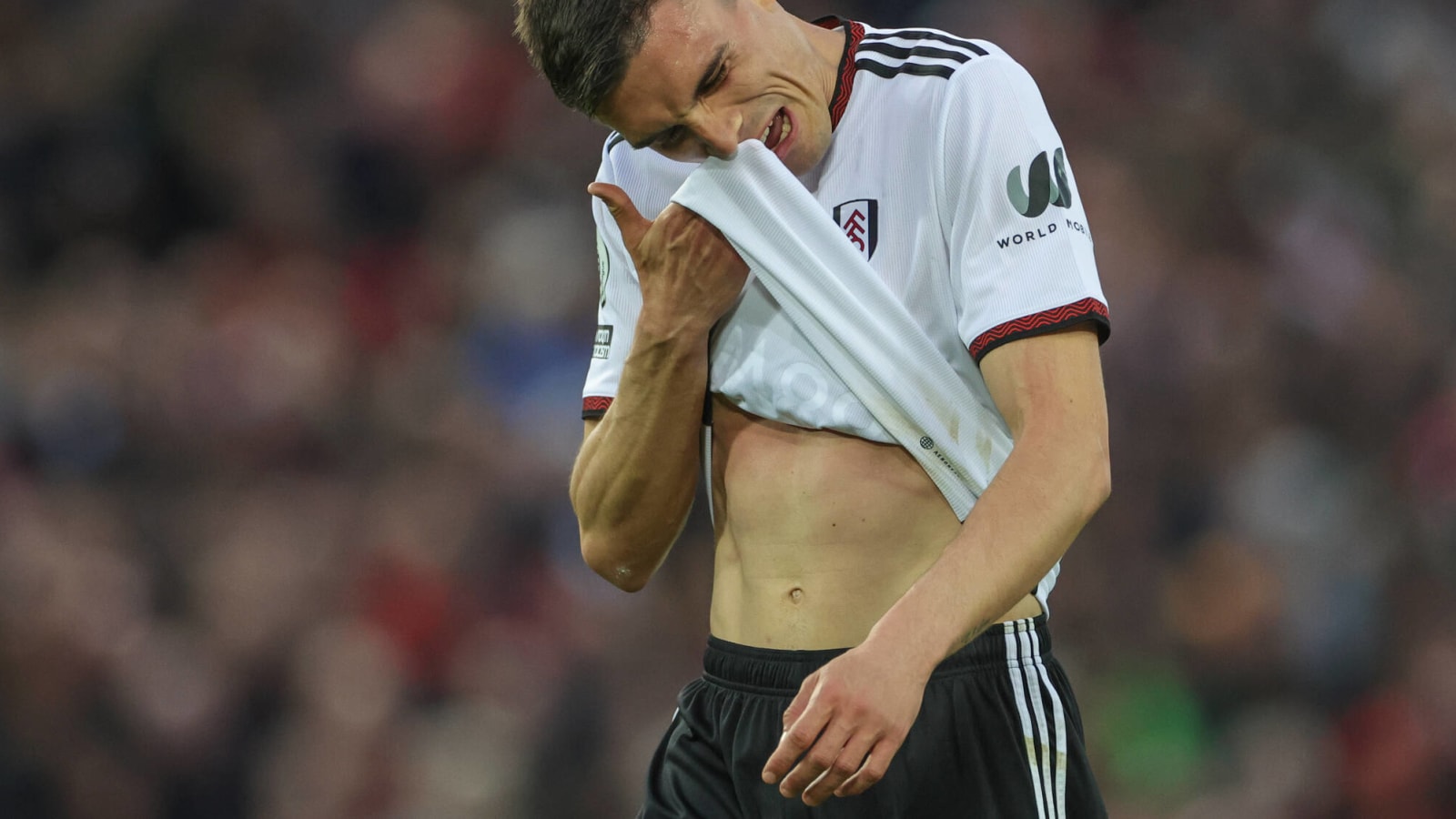 ‘Exceptional’ – Fulham star wanted by Arsenal almost certain to leave says Schwarzer