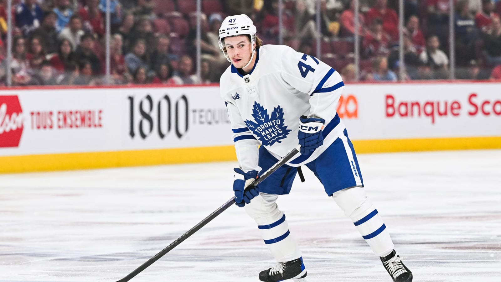 2024 TLN Maple Leafs Prospect Rankings: #5 Topi Niemela