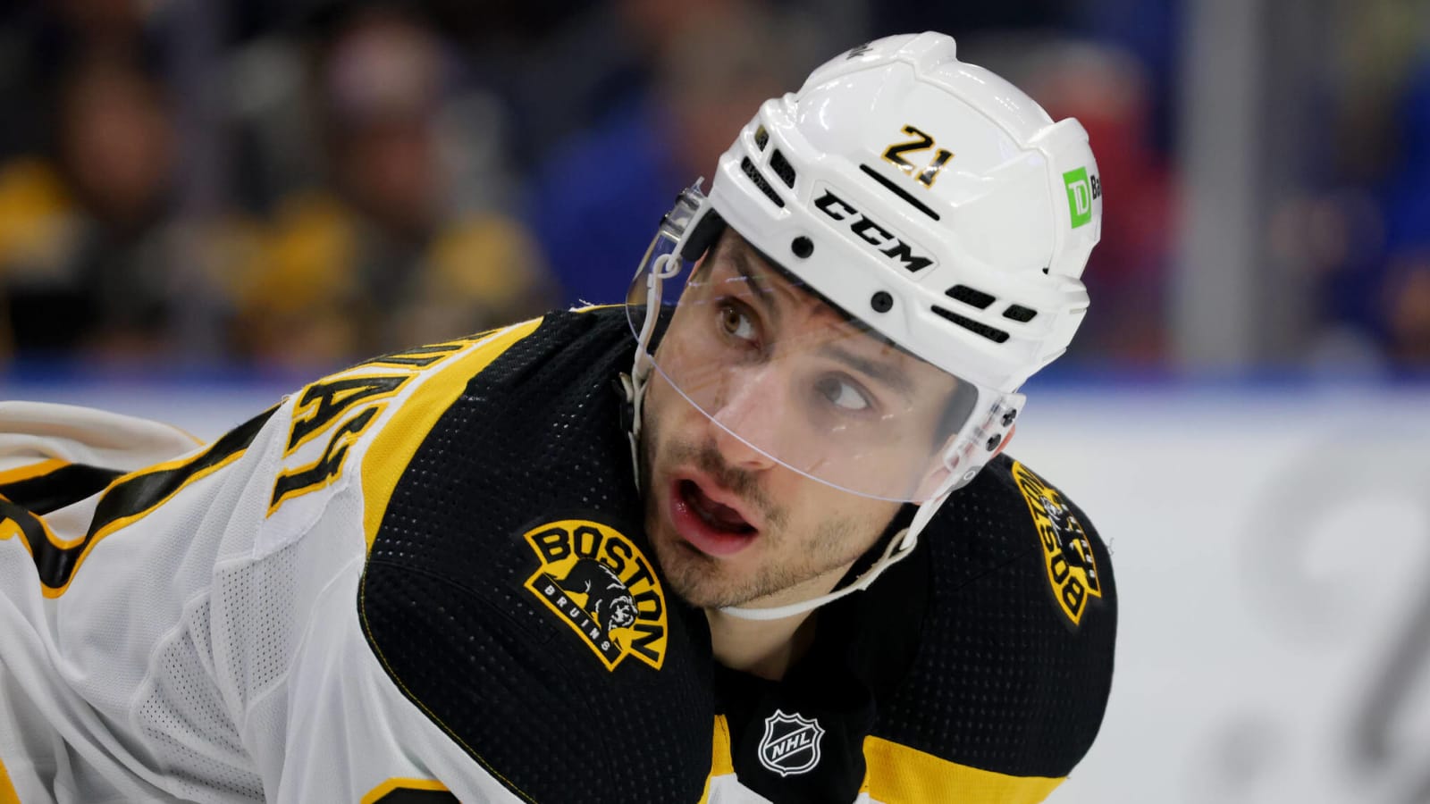 Boston Bruins 2022-23 Player Grades: Garnet Hathaway